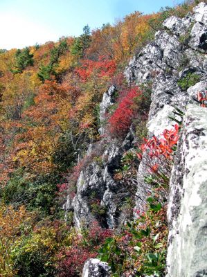 View from Whiterock Cliffs (Taken 10-8-2011)
