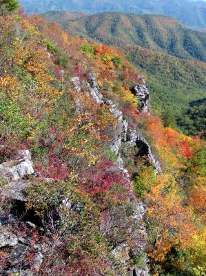 View from Whiterock Cliffs (Taken 10-8-2011)
