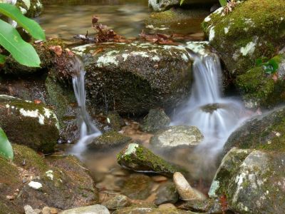 Devils Creek
Photo by Dave Aldridge 12-10-2011
