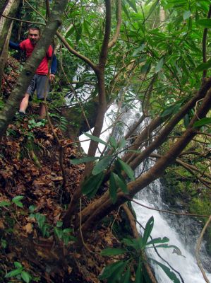 Tyler doing some extreme climbing at a waterfall deep in the Sampson Mtn Wilderness area. 
