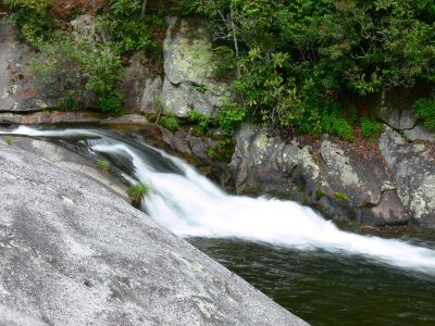 Photo by Dave Aldridge  6-7-2012
