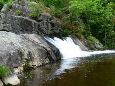 Photo by Dave Aldridge  6-7-2012
