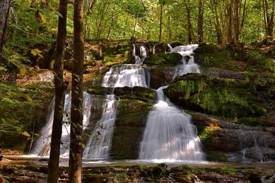 Photo by Mark Lackey 
