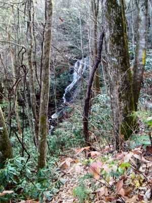 Upper Longarm Branch Falls
Taken 11-14-2009
