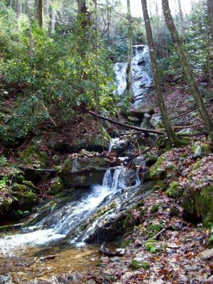 Upper Longarm Branch Falls
Taken 11-14-2009
