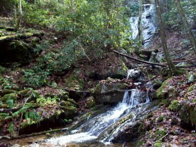 Upper Longarm Branch Falls
Taken 11-14-2009
