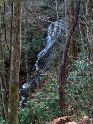 Upper Longarm Branch Falls
Taken 11-14-2009
