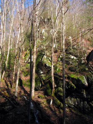 Feeder falls just below base of Lower Higgins Creek Falls Taken 1-24-2012 
