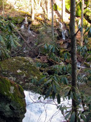 Feeder falls just below base of Lower Higgins Creek Falls Taken 1-24-2012 
