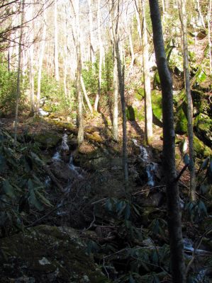 Feeder falls just below base of Lower Higgins Creek Falls Taken 1-24-2012 
