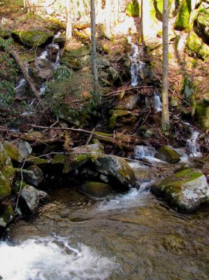 Feeder falls just below base of Lower Higgins Creek Falls Taken 1-24-2012 
