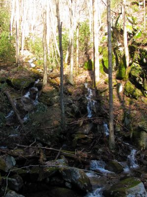 Feeder falls just below base of Lower Higgins Creek Falls Taken 1-24-2012 
