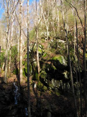 Feeder falls just below base of Lower Higgins Creek Falls Taken 1-24-2012 
