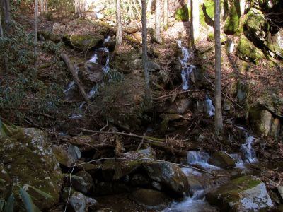 Feeder falls just below base of Lower Higgins Creek Falls Taken 1-24-2012 
