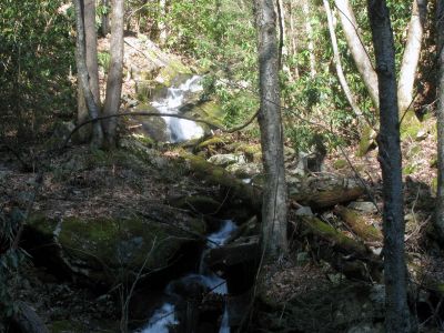 Feeder falls just below base of Lower Higgins Creek Falls Taken 1-24-2012 
