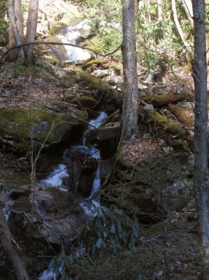 Feeder falls just below base of Lower Higgins Creek Falls Taken 1-24-2012 
