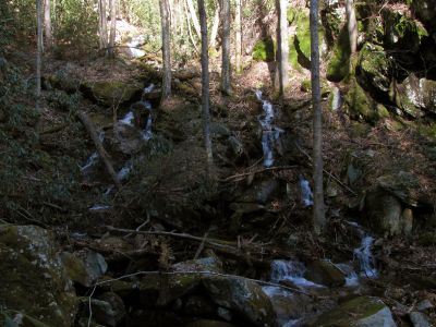Feeder falls just below base of Lower Higgins Creek Falls Taken 1-24-2012 
