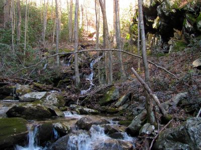Feeder falls just below base of Lower Higgins Creek Falls Taken 1-24-2012 
