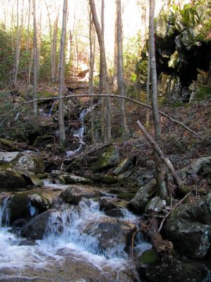 Feeder falls just below base of Lower Higgins Creek Falls Taken 1-24-2012 
