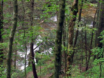 Cascades found above Abrams Falls  Taken 9-16-2011
