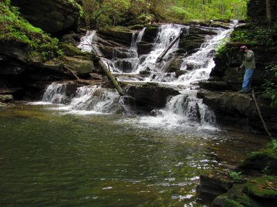 Dace beside the cascades found above Abrams Falls  Taken 9-16-2011
