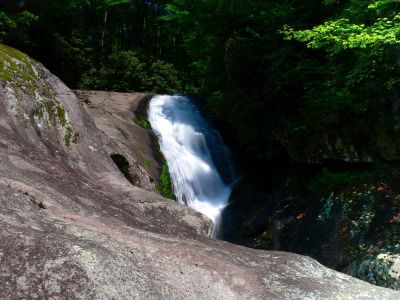 Taken 8-1-2012  (Photo By Dave Aldridge)
