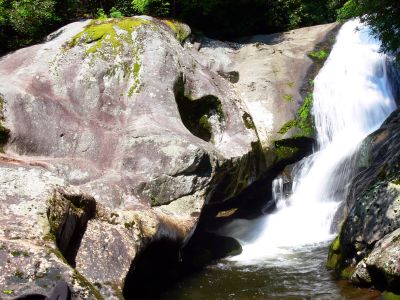 Taken 8-1-2012  (Photo By Dave Aldridge)
