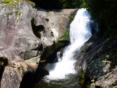 Taken 8-1-2012  (Photo By Dave Aldridge)
