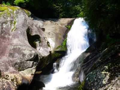 Taken 8-1-2012  (Photo By Dave Aldridge)
