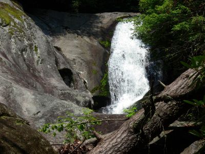 Taken 8-1-2012  (Photo By Dave Aldridge)
