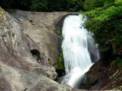 Taken 8-1-2012  (Photo By Dave Aldridge)
