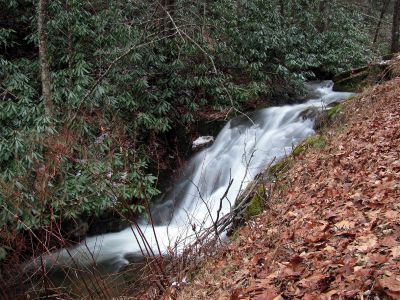 Big Branch Falls
Taken 12-18-2011
