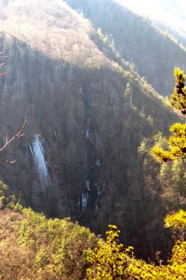 Taken from Chigger Ridge 1-29-2013

