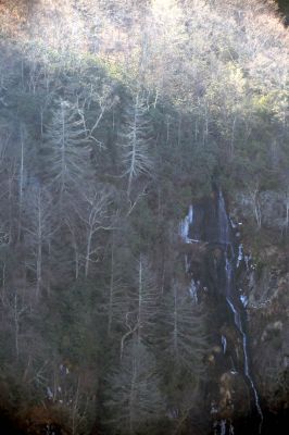 Taken from Chigger Ridge 1-29-2013
