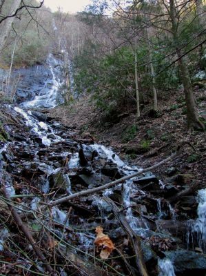 Photo by RAT 2-26-2011
