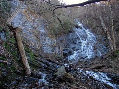 Photo by RAT 2-26-2011
