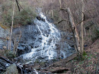 Photo by RAT 2-26-2011
