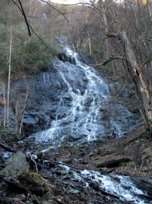 Photo by RAT 2-26-2011
