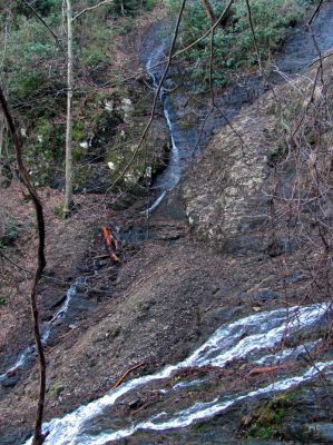 Photo by RAT 2-26-2011
