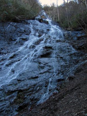Photo by RAT 2-26-2011
