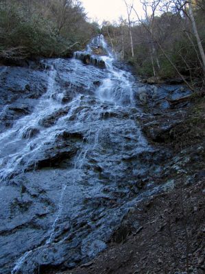 Photo by RAT 2-26-2011
