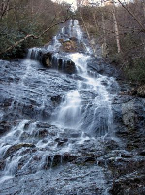 Photo by RAT 2-26-2011
