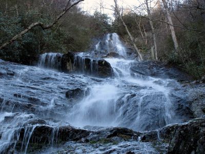 Photo by RAT 2-26-2011
