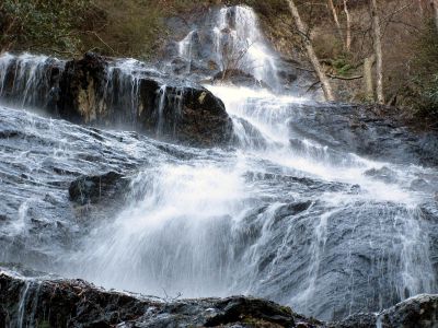 Photo by RAT 2-26-2011
