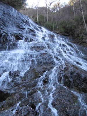 Photo by RAT 2-26-2011
