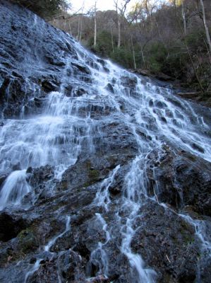 Photo by RAT 2-26-2011
