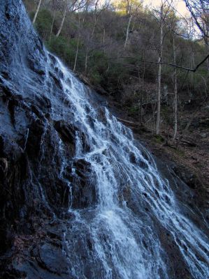 Photo by RAT 2-26-2011
