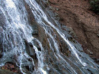 Photo by RAT 2-26-2011
