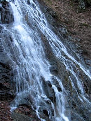 Photo by RAT 2-26-2011
