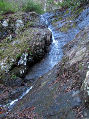 Photo by RAT 2-26-2011
